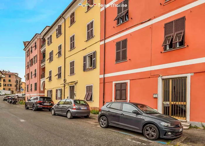 Del Golfo, Terremarine